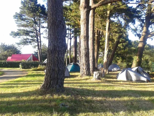 Camping L'Océan Belle-Ile-en-Mer Morbihan Randonnée Emplacement sous la pinède