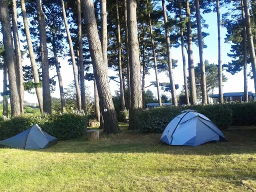 Camping L'Océan Belle-Ile-en-Mer Morbihan Emplacement sous la pinède