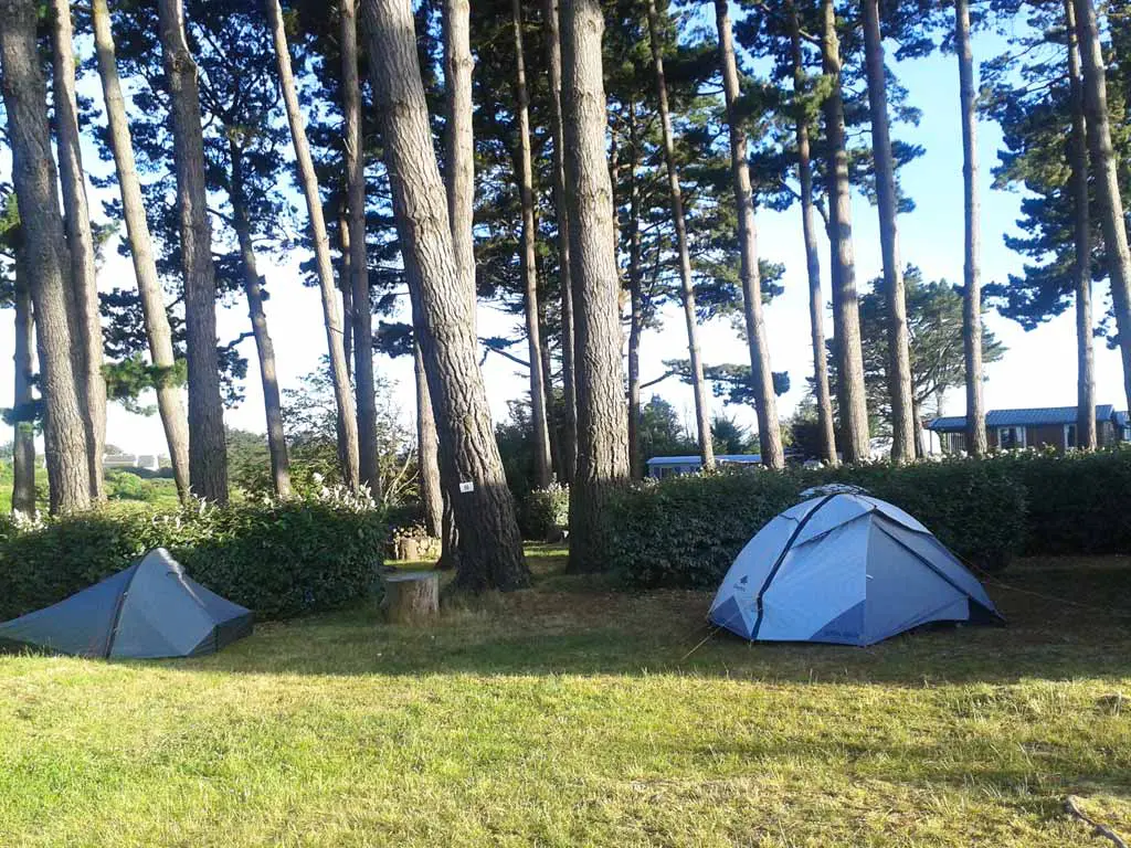 Camping L'Océan Belle-Ile-en-Mer Morbihan Emplacement sous la pinède