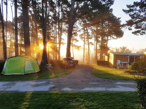 Camping L'Océan Belle-Ile-en-Mer Morbihan Emplacement sous la pinède